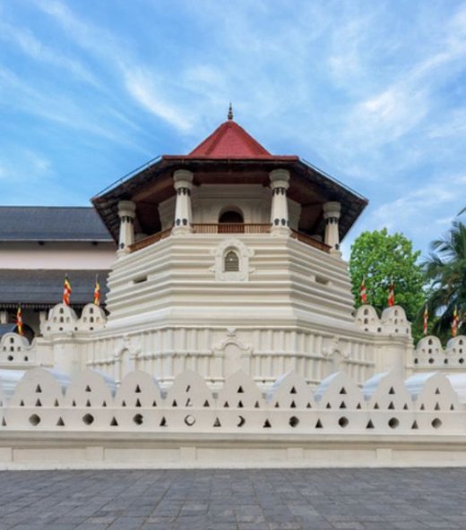 Yenu Cabs and Tours