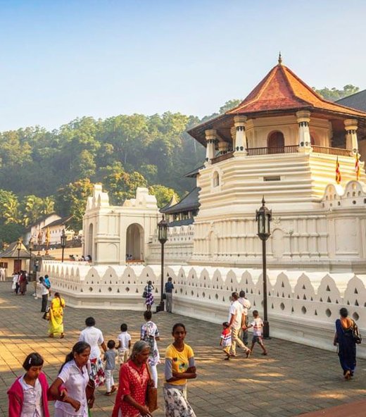 Yenu Cabs and Tours