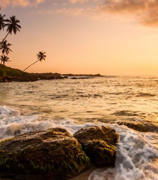 Yenu Cabs and Tours