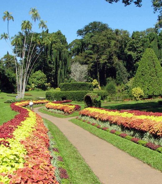 Yenu Cabs and Tours