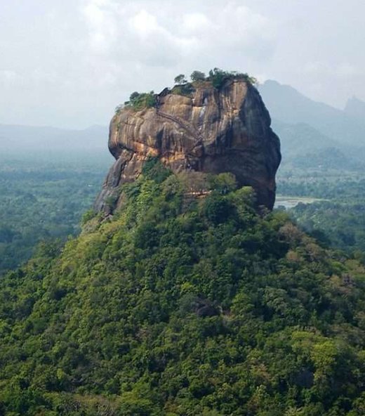 Yenu Cabs and Tours