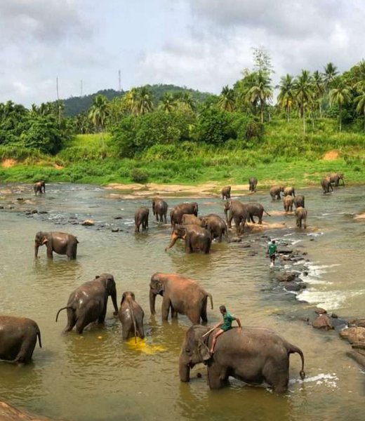 Yenu Cabs and Tours
