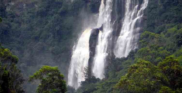 Horton plains