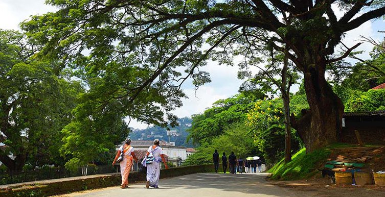 Kandy