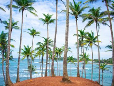 Galle