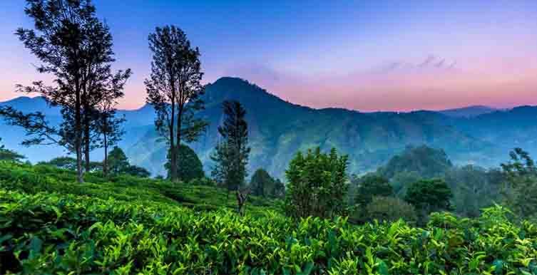 Nuwara eliya